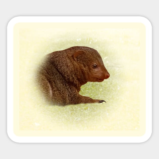 Mongoose Sticker by Guardi